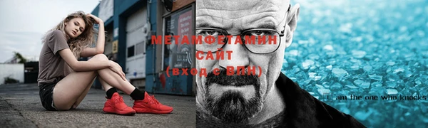 мдпв Гусев