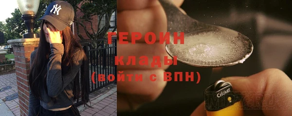 мдпв Гусев