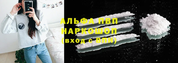 мдпв Гусев