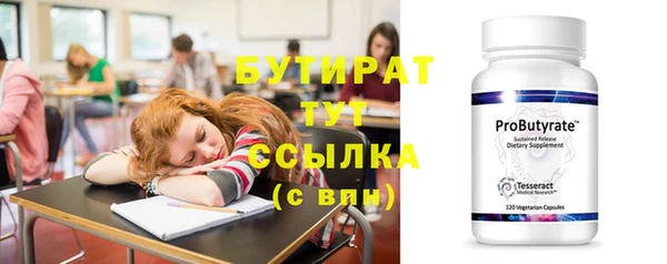 мдпв Гусев