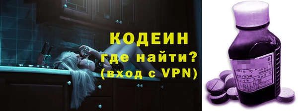 мдпв Гусев