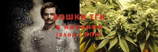 прущая мука Гусиноозёрск