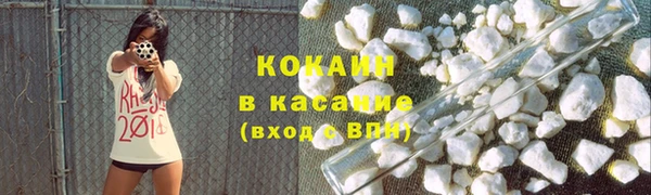 мдпв Гусев