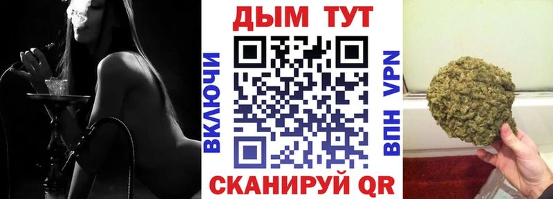 Шишки марихуана THC 21%  Купить где  Касли 
